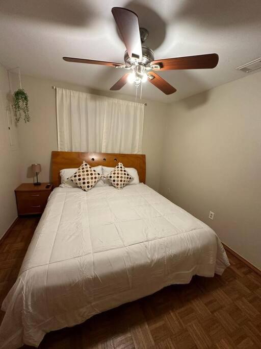 Mcallen 4Br With Pool, Shopping & More Exterior foto
