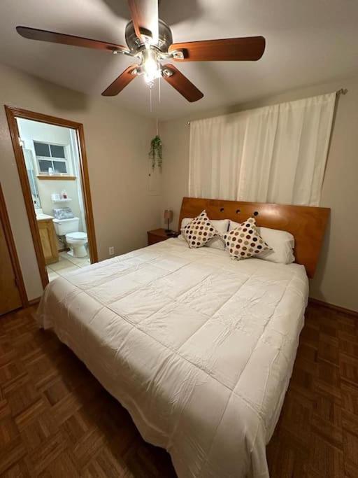 Mcallen 4Br With Pool, Shopping & More Exterior foto